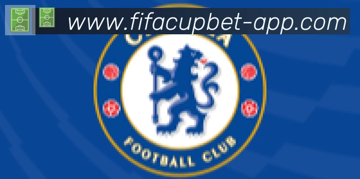 FIFA世界杯买球入口合作伙伴