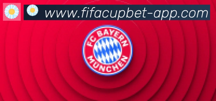 FIFA世界杯买球入口合作伙伴